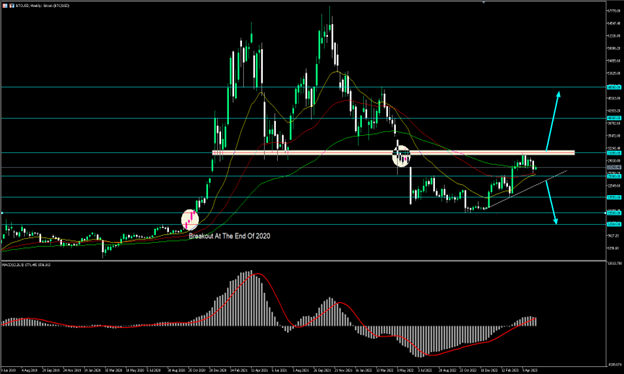 BTC chart